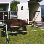 2c950f9fcc Trailer Kit Pic 2