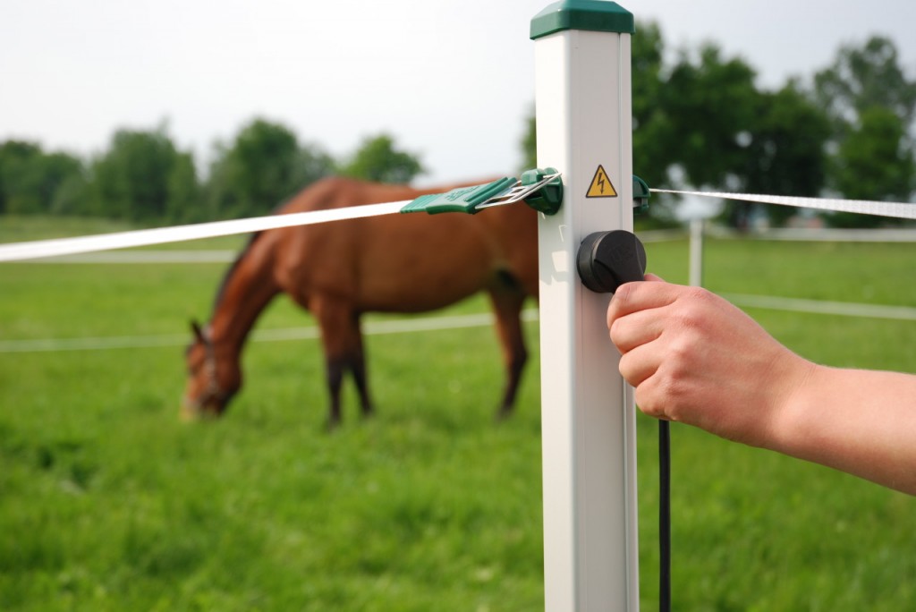 Electric fence by Roflexs UK Fencing products. Electric fence by