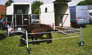 An overnight pen for Ponies