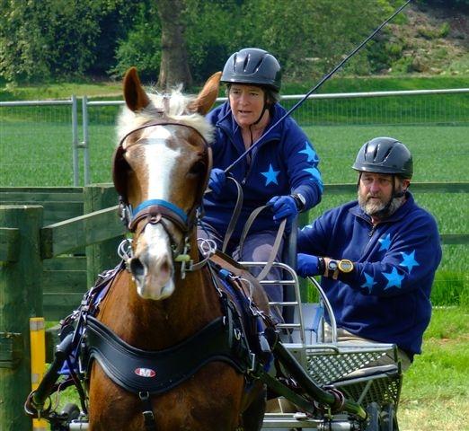 Jack in a Box Saddlery