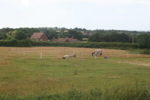 A pair of 16m by 12m enclosures with 'gates'.